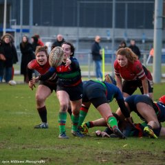 img_5017-3.jpg - JPEG - 504 ko - 2000×2000 px