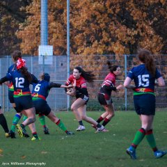 img_5041.jpg - JPEG - 612.1 ko - 2000×2000 px