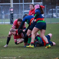 img_5135.jpg - JPEG - 463 ko - 2000×1333 px