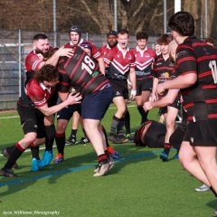 img_5913-2.jpg - JPEG - 686 ko - 2000×2001 px