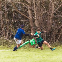 senior_binche_-_ciney_2024_-_rugby_-_rcc_binche_-_www.photoperinne.be_-_photo_sportive_-17.jpg - JPEG - 1008.8 ko - 2000×2000 px