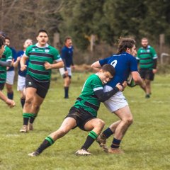 senior_binche_-_ciney_2024_-_rugby_-_rcc_binche_-_www.photoperinne.be_-_photo_sportive_-39.jpg - JPEG - 619.7 ko - 2000×2000 px