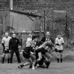 u18_binche_-_antwerpen_2024_-_rugby_-_rcc_binche_-_www.photoperinne.be_-_photo_sportive_-14.jpg - JPEG - 678.7 ko - 2000×2000 px