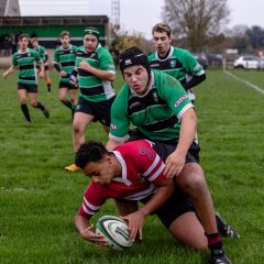 u18_binche_-_antwerpen_2024_-_rugby_-_rcc_binche_-_www.photoperinne.be_-_photo_sportive_-32.jpg - JPEG - 607.5 ko - 2000×2000 px