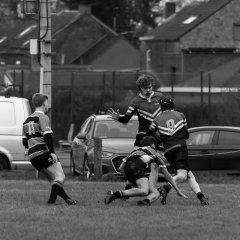 u18_binche_-_antwerpen_2024_-_rugby_-_rcc_binche_-_www.photoperinne.be_-_photo_sportive_-34.jpg - JPEG - 600 ko - 2000×2000 px