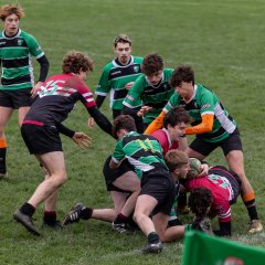 u18_binche_-_antwerpen_2024_-_rugby_-_rcc_binche_-_www.photoperinne.be_-_photo_sportive_-50.jpg - JPEG - 689.5 ko - 2000×2000 px
