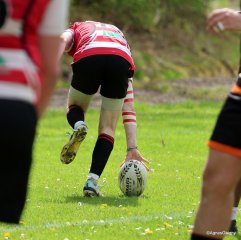 068-bj8a9377.jpg - JPEG - 480.4 ko - 2000×1997 px