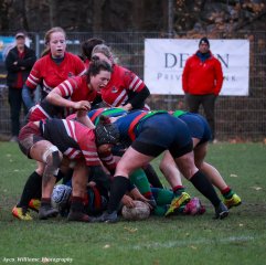 img_5191-3.jpg - JPEG - 565.5 ko - 2000×1999 px