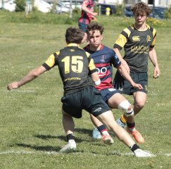 gp5f2647.jpg - JPEG - 699.9 ko - 2000×1982 px