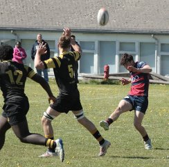 gp5f2623.jpg - JPEG - 660.2 ko - 2000×1973 px