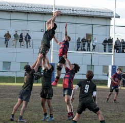 gp5f7378.jpg - JPEG - 762.9 ko - 2000×1971 px