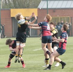 gp5f0903.jpg - JPEG - 543.5 ko - 2000×1960 px