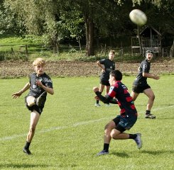 gp5f3970.jpg - JPEG - 1006.7 ko - 2000×1966 px