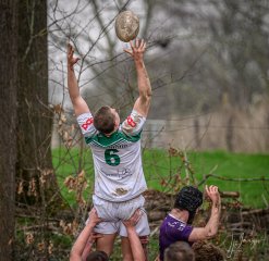 _nz80992-avec_accentuation-bruit.jpg - JPEG - 243.2 ko - 1024×999 px