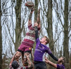 _nz81969-avec_accentuation-bruit.jpg - JPEG - 345.3 ko - 1024×994 px