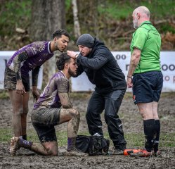 _nz82269-avec_accentuation-bruit.jpg - JPEG - 324.3 ko - 1024×989 px