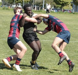 gp5f2574-2.jpg - JPEG - 788.9 ko - 2000×1922 px