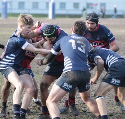 gp5f0188.jpg - JPEG - 554.4 ko - 2000×1915 px