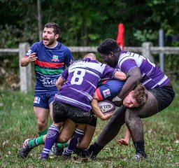 _nz85470.jpg - JPEG - 330.3 ko - 1024×961 px