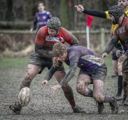 04022024-_nz88149-avec_accentuation-bruit.jpg - JPEG - 915.7 ko - 1024×957 px