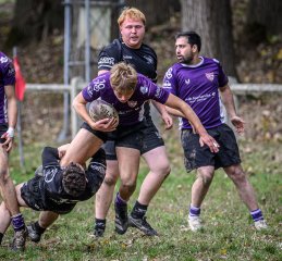 _nz86149.jpg - JPEG - 321 ko - 1024×951 px