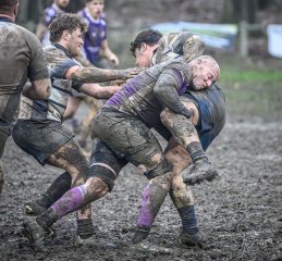 z63_6545.jpg - JPEG - 357.2 ko - 1024×949 px