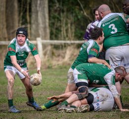 _nz80546-avec_accentuation-bruit.jpg - JPEG - 318.2 ko - 1024×942 px