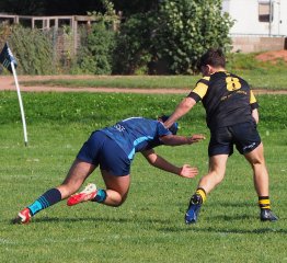 image04-2.jpg - JPEG - 427.8 ko - 1500×1379 px