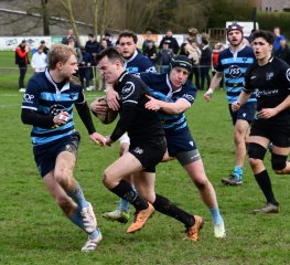 dsc_3714.jpg - JPEG - 380.1 ko - 1500×1371 px