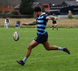 dsc_3794.jpg - JPEG - 313.1 ko - 1500×1371 px