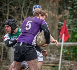 _nz81286-avec_accentuation-bruit.jpg - JPEG - 226.2 ko - 1024×933 px