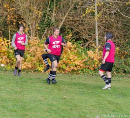 dsc08676.jpg - JPEG - 1.2 Mo - 2000×1822 px