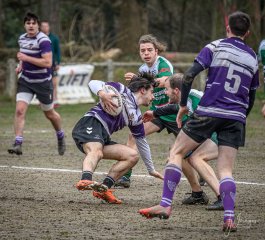 _nz80364-avec_accentuation-bruit.jpg - JPEG - 304.7 ko - 1024×930 px