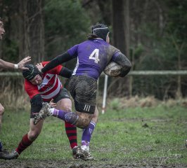 04022024-_nz87816-avec_accentuation-bruit.jpg - JPEG - 793 ko - 1024×927 px