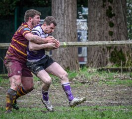 _nz81595-avec_accentuation-bruit.jpg - JPEG - 325 ko - 1024×927 px