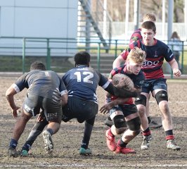 gp5f0344.jpg - JPEG - 606.7 ko - 2000×1807 px