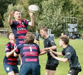 gp5f3639.jpg - JPEG - 715 ko - 2000×1811 px