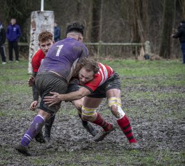 04022024-_nz87951-avec_accentuation-bruit.jpg - JPEG - 949.9 ko - 1024×919 px