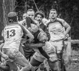 _nz81268-avec_accentuation-bruit.jpg - JPEG - 233.1 ko - 1024×916 px