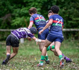 _nz85531.jpg - JPEG - 284.4 ko - 1024×906 px