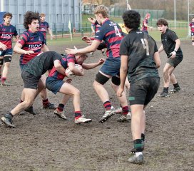 gp5f6924-2.jpg - JPEG - 752.3 ko - 2000×1769 px