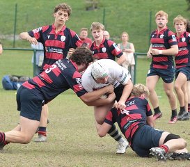 gp5f1443.jpg - JPEG - 592.1 ko - 2000×1762 px