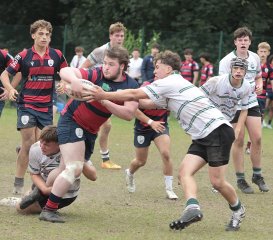 gp5f1929.jpg - JPEG - 547.3 ko - 2000×1763 px