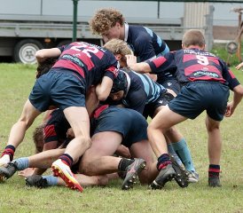 gp5f2661.jpg - JPEG - 649.2 ko - 2000×1754 px