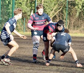 gp5f0433.jpg - JPEG - 743.4 ko - 2000×1741 px