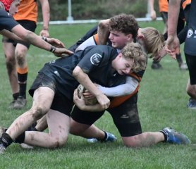 dsc_4623-4.jpg - JPEG - 311.5 ko - 1500×1296 px