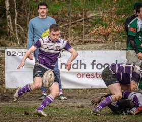 _nz80490-avec_accentuation-bruit.jpg - JPEG - 326.2 ko - 1024×882 px