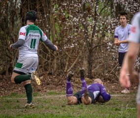 _nz80910-avec_accentuation-bruit.jpg - JPEG - 336.9 ko - 1024×865 px