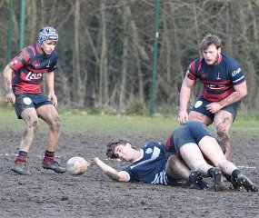 gp5f0553.jpg - JPEG - 573.5 ko - 2000×1686 px