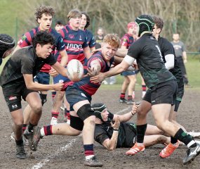 gp5f6899.jpg - JPEG - 568.8 ko - 2000×1689 px